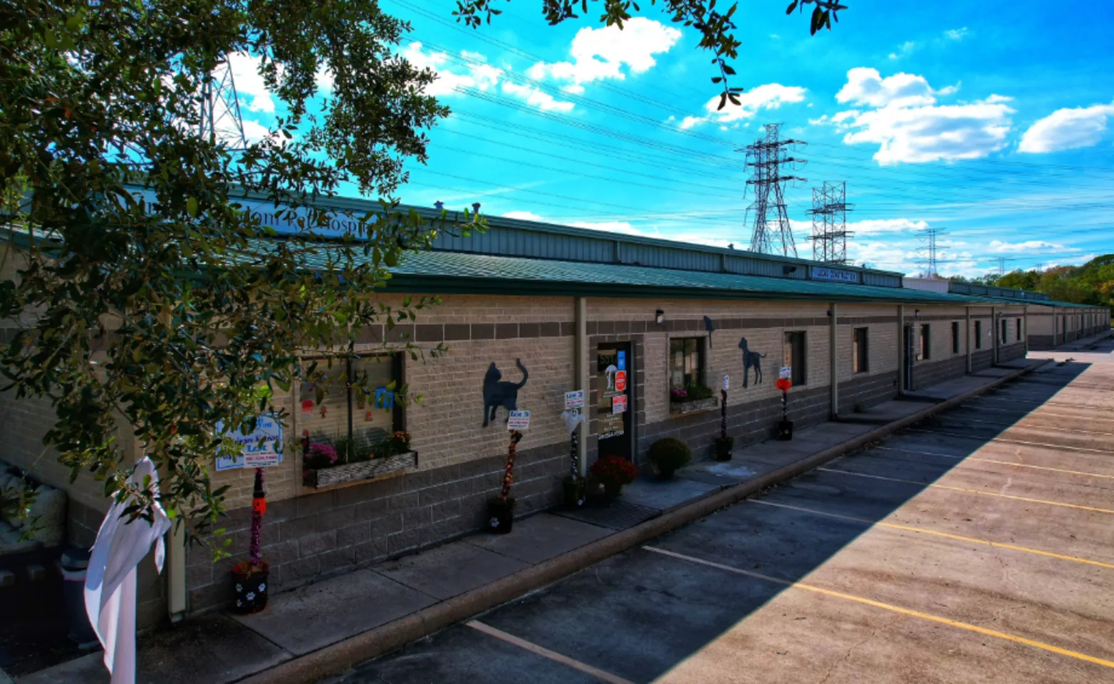 Side View of Animal Kingdom Pet Hospital Building Side View of Animal Kingdom Pet Hospital Building