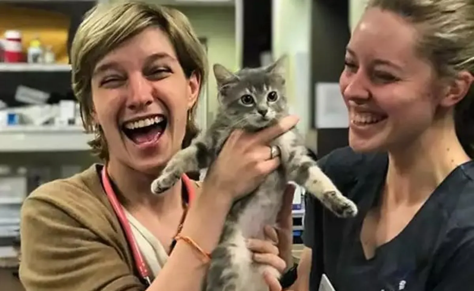 Two staff members holding a kitten Two staff members holding a kitten