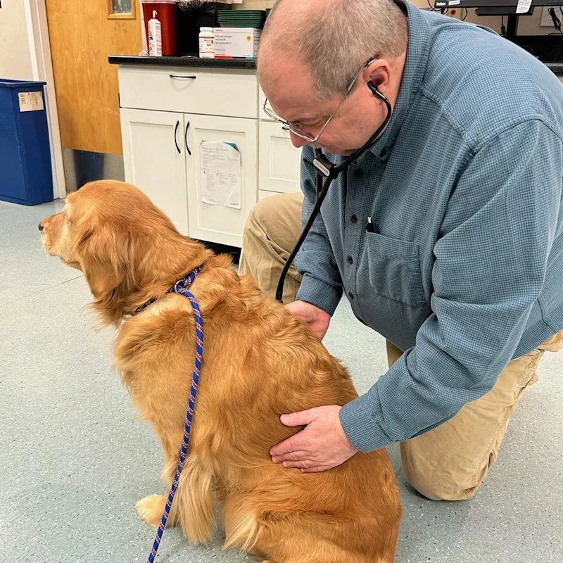 Dr. Clay Baker Dr. Clay Baker