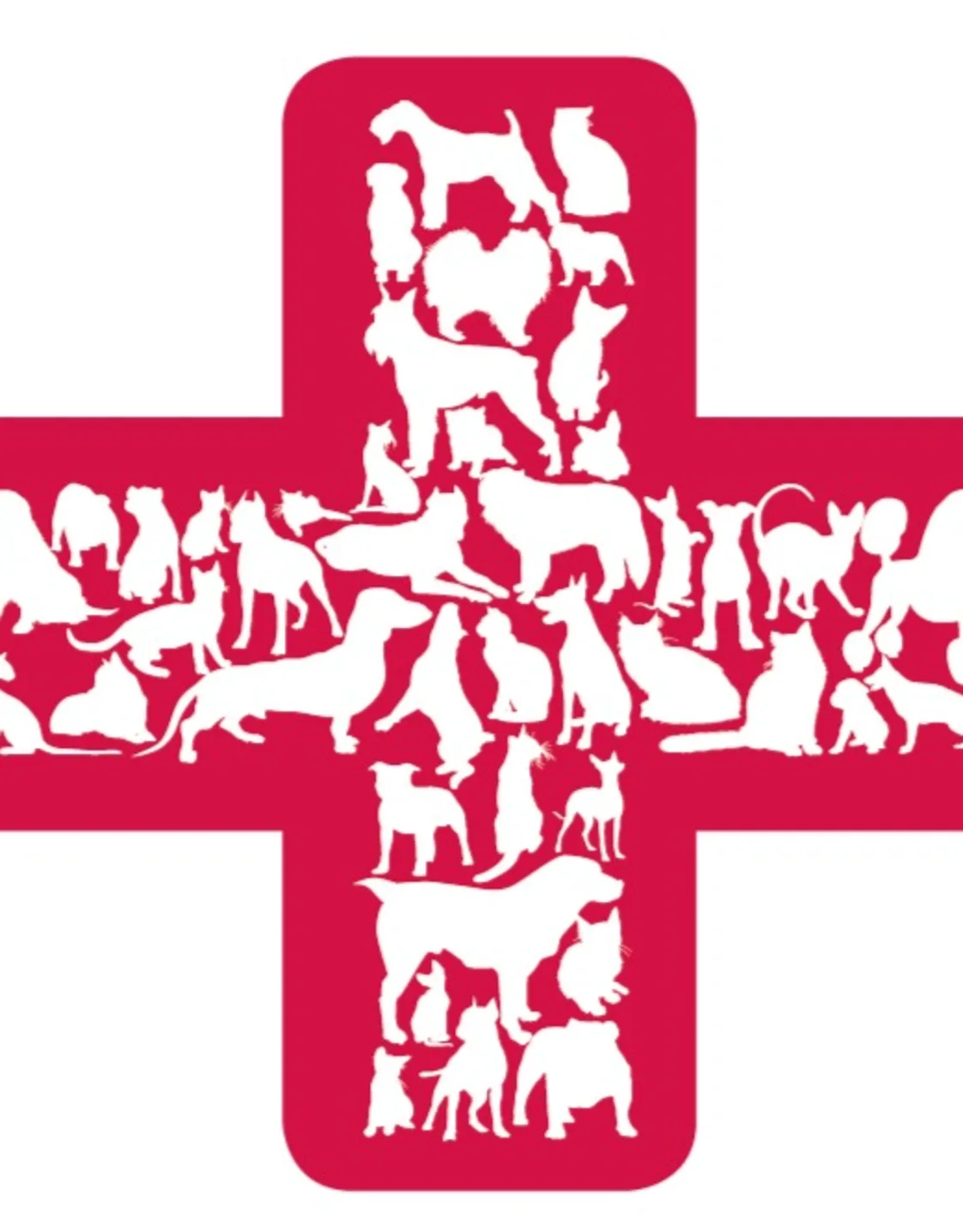 Erin Menze, DVM Erin Menze, DVM