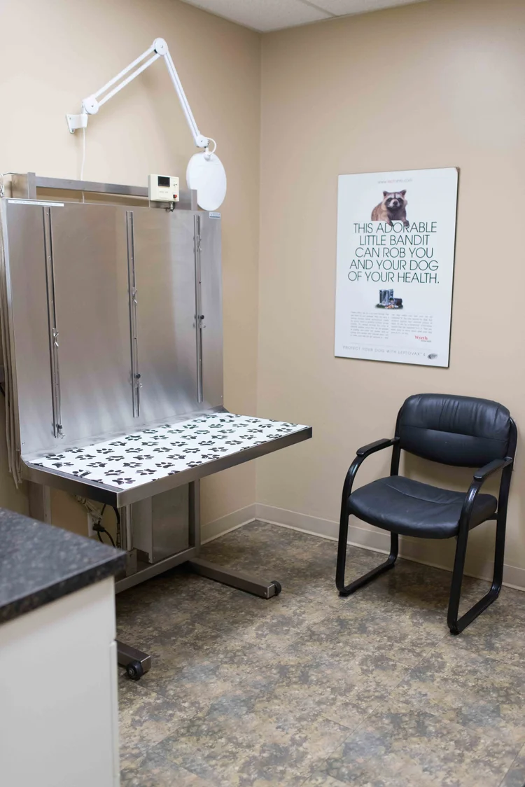 Dog Exam Room