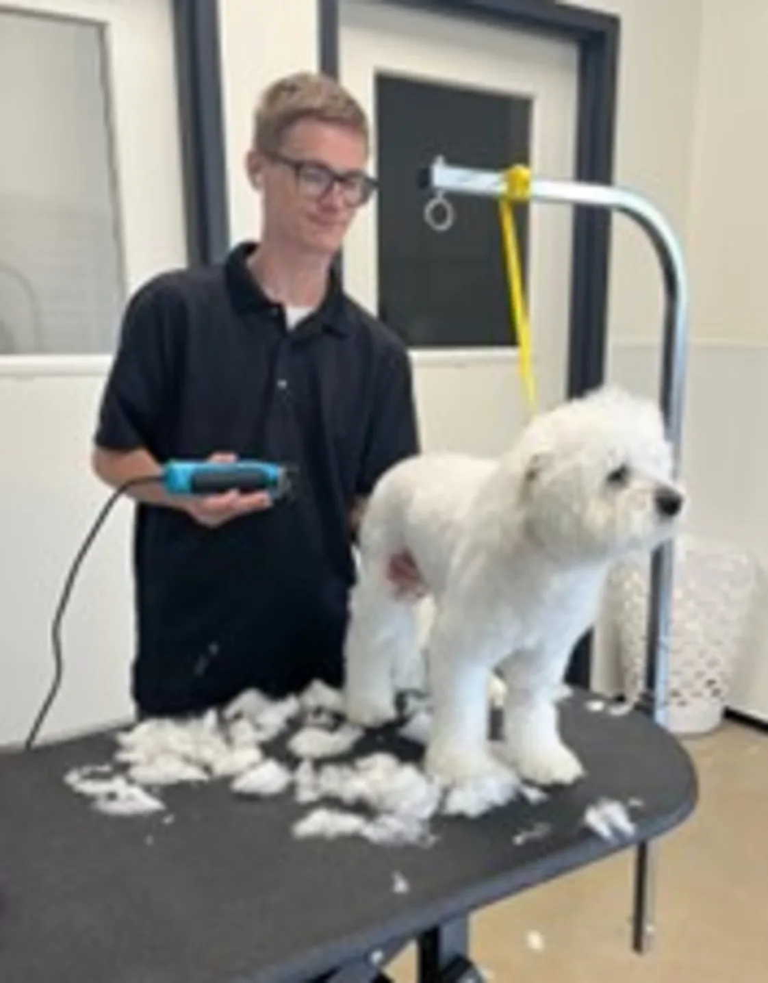 Photo of Kyle, Groomer at No Leash Needed Photo of Kyle, Groomer at No Leash Needed