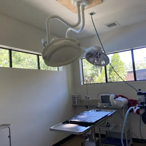 Surgery room at The Ark Veterinary Clinic. Surgery room at The Ark Veterinary Clinic.