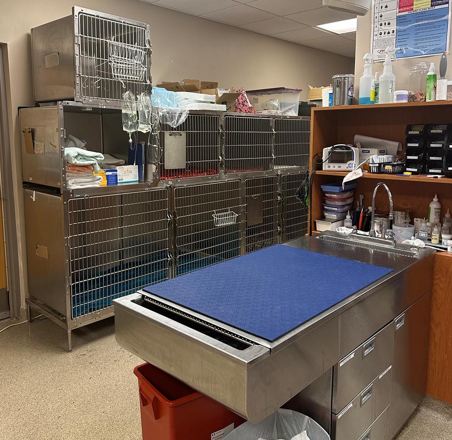 Kennels and Treatment Table at Winding Creek Animal Hospital