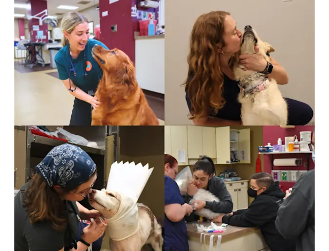 Collage of Staff Members & Patients at Mission Veterinary Emergency & Specialty Collage of Staff Members & Patients at Mission Veterinary Emergency & Specialty