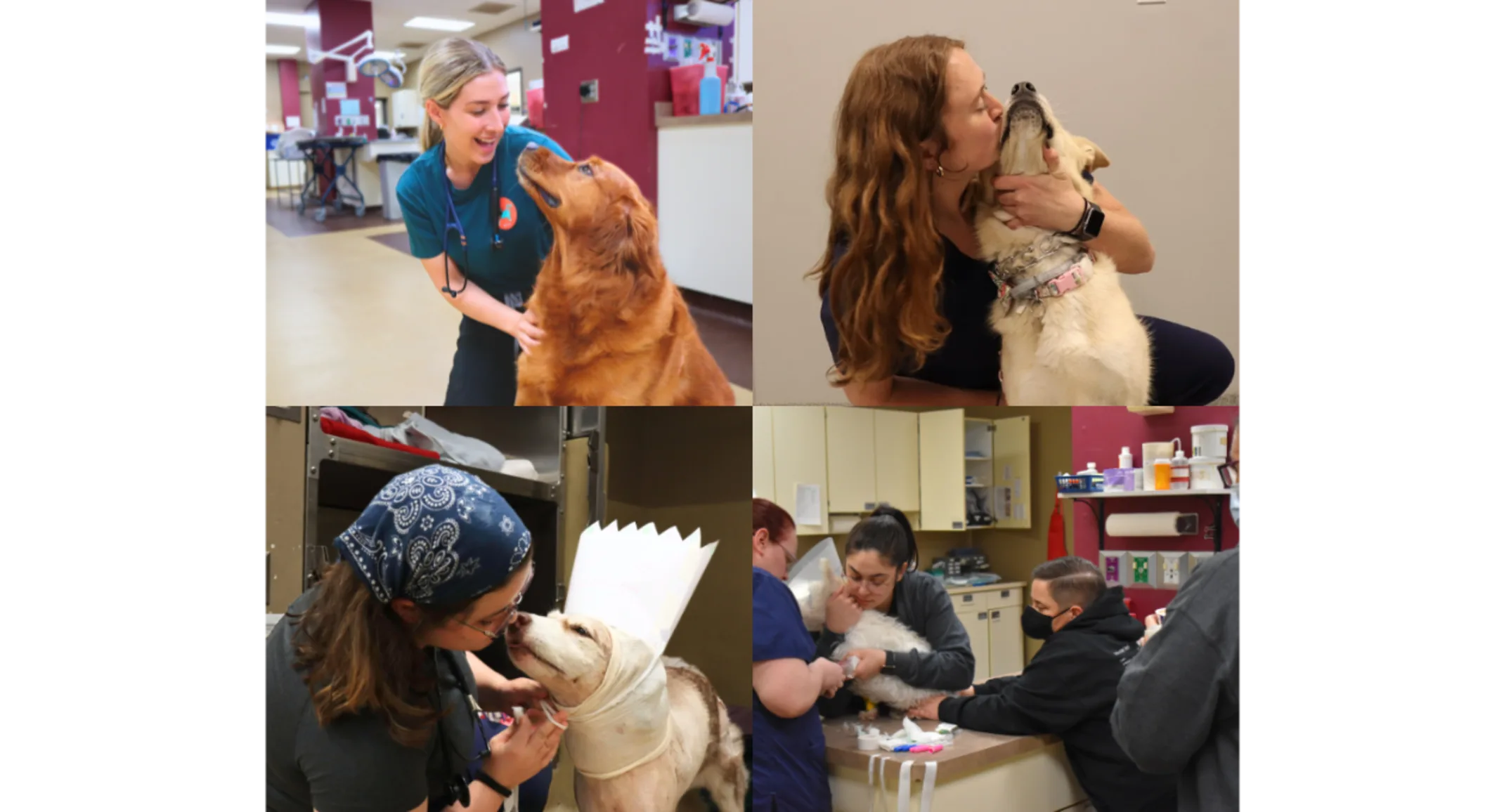 Collage of Staff Members & Patients at Mission Veterinary Emergency & Specialty Collage of Staff Members & Patients at Mission Veterinary Emergency & Specialty