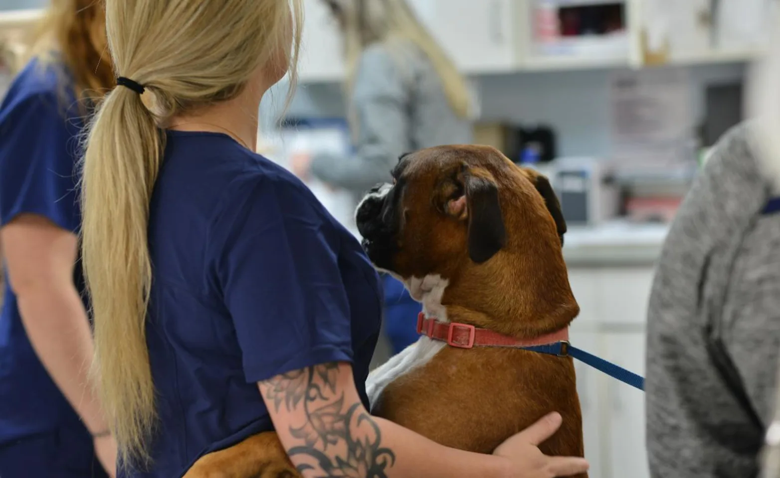 Blonde staff hugging dog at Animal Medical Center of Hattiesburg.