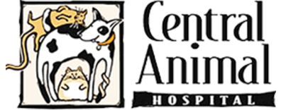 Central Animal Hospital on Pinellas Point Logo