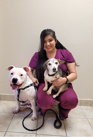 Alma Galveston Veterinary Clinic