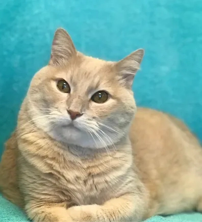 Danielle "Dani" Danielle "Dani"