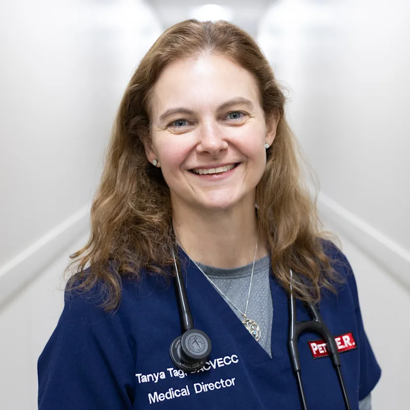 Tanya Tag, DACVECC Tanya Tag, DACVECC