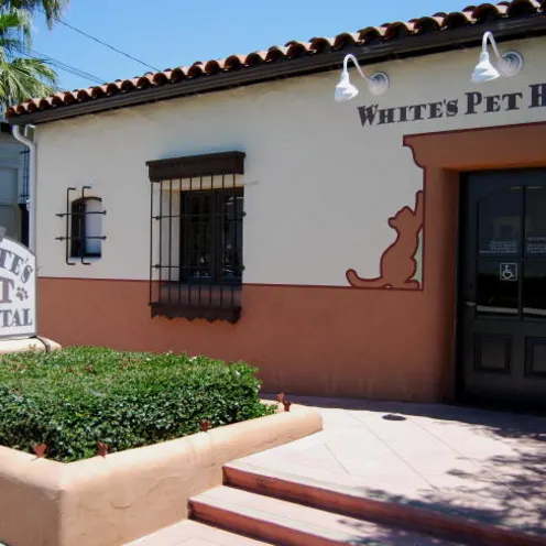 White's Pet Hospital Exterior