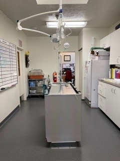 White Pine Veterinary Hospital Exam Room