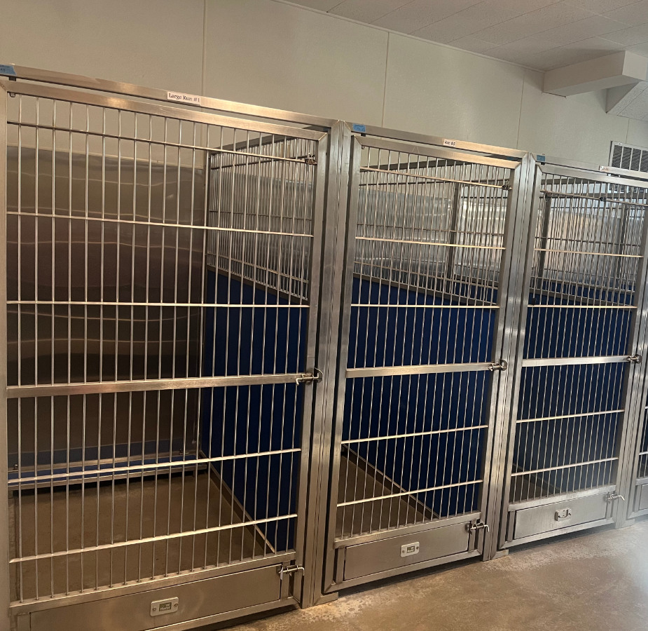 Dog Boarding Kennels 2