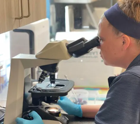 staff member looking through microscope staff member looking through microscope