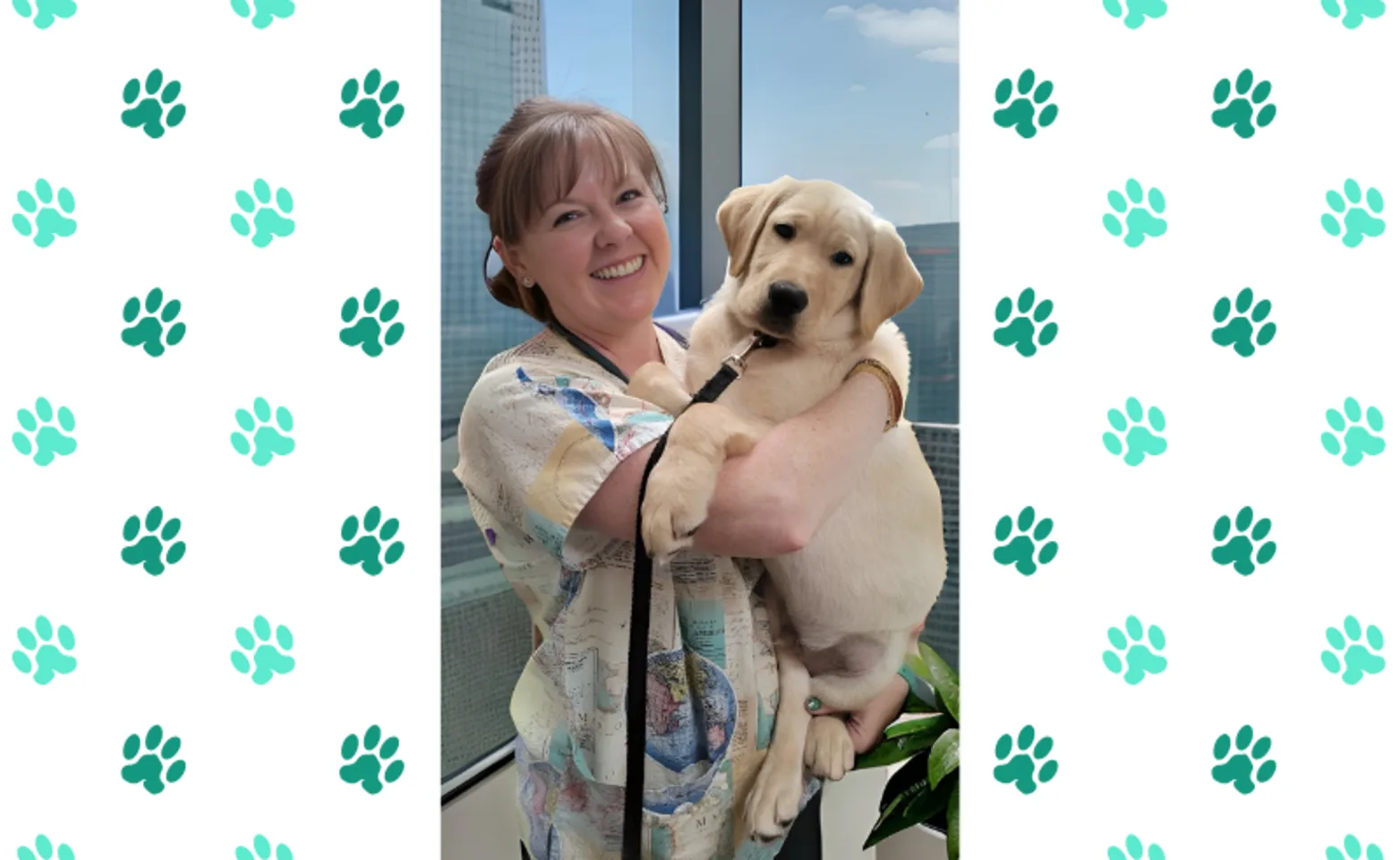 Dr. Ryan at Ironwood Veterinary Clinic Dr. Ryan at Ironwood Veterinary Clinic