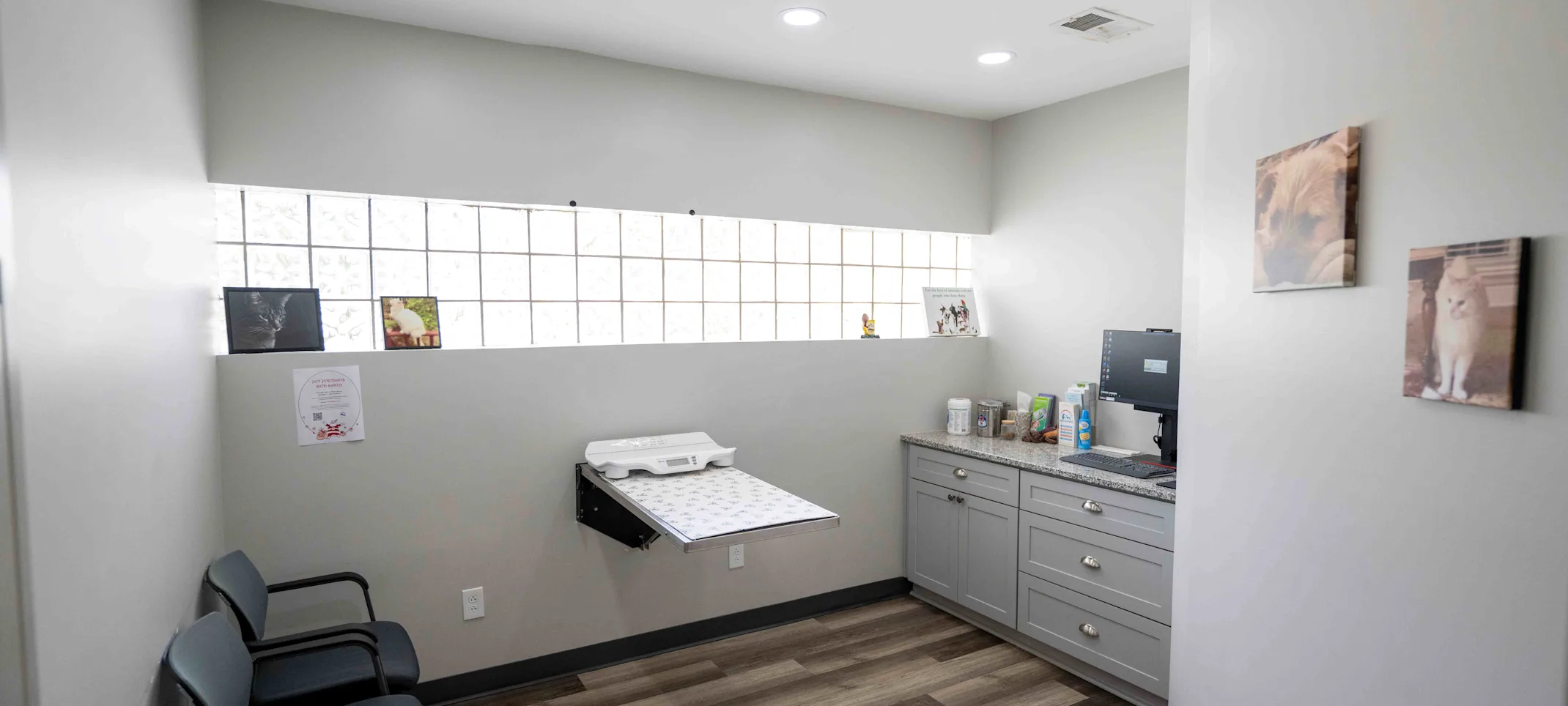 Exam Room 4 at Animal Medical Center - Tuscaloosa Exam Room 4 at Animal Medical Center - Tuscaloosa