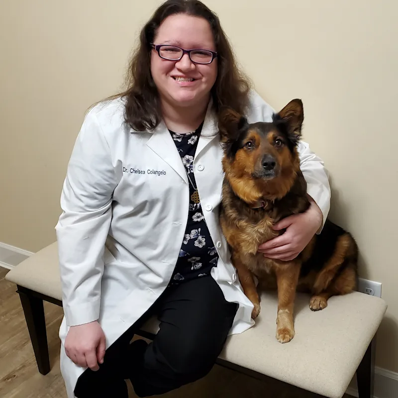 Dr. Chelsea Colangelo, DVM at Brighton-Eggert Animal Clinic Dr. Chelsea Colangelo, DVM at Brighton-Eggert Animal Clinic