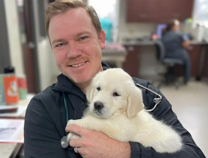 Meet Dr. Matthew Silvius: Driving growth & excellence in veterinary medicine Meet Dr. Matthew Silvius: Driving growth & excellence in veterinary medicine