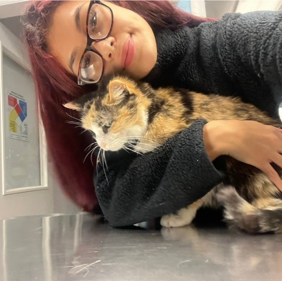 Puppy pencil placeholder