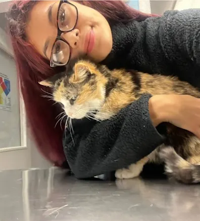 Puppy pencil placeholder Puppy pencil placeholder