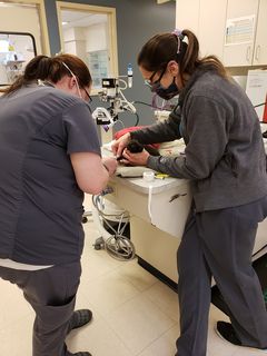Sheila and Jane at Small Animal Hospital