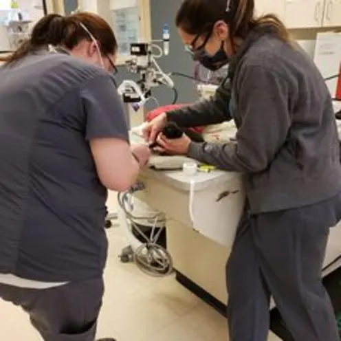 Sheila and Jane at Small Animal Hospital