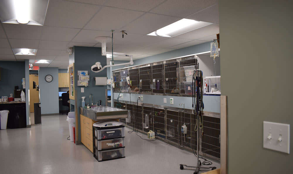 Larkin Veterinary Center Treatment area