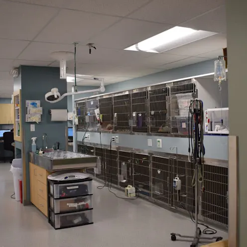 Larkin Veterinary Center Treatment area Larkin Veterinary Center Treatment area