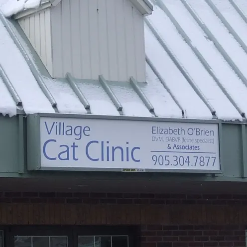 Village Cat Clinic Exterior