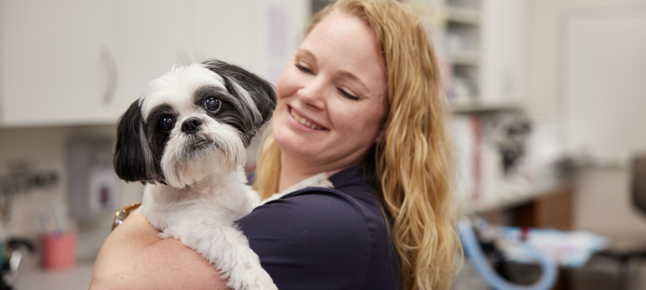 Veterinarian holding black and white dog
