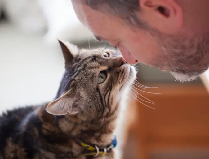 Man touching noses with a cat Man touching noses with a cat