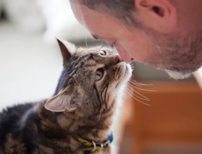 Man touching noses with a cat