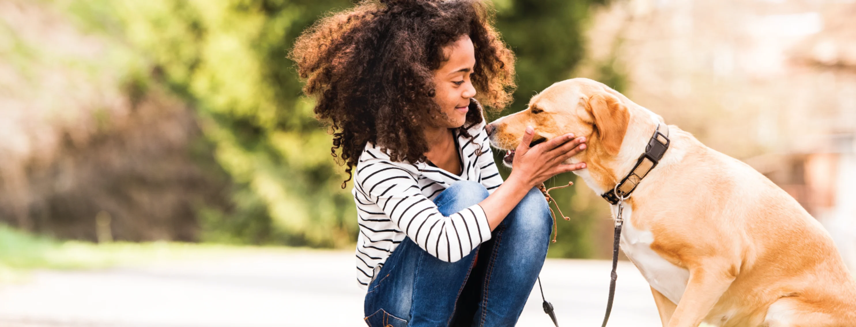 Dog and little girl in grass near street