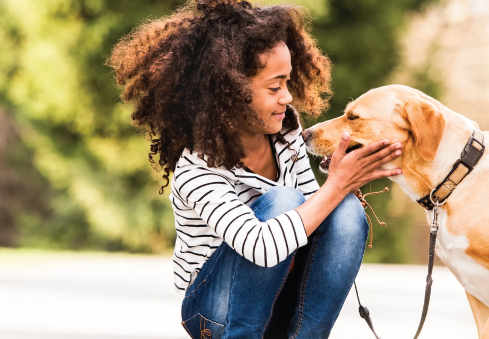 Dog and little girl in grass near street