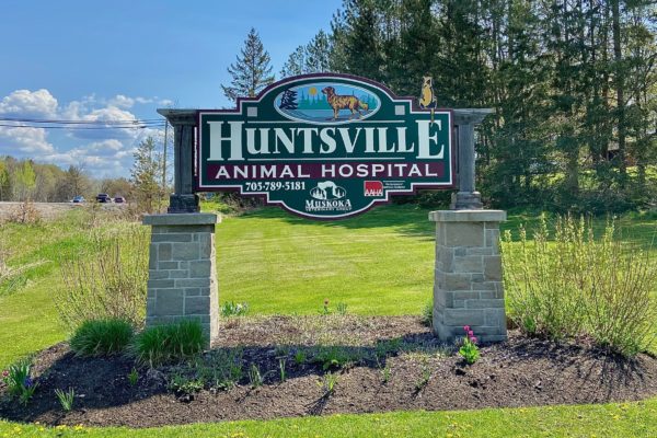 Huntsville Animal Hospital Sign (Outdoors)