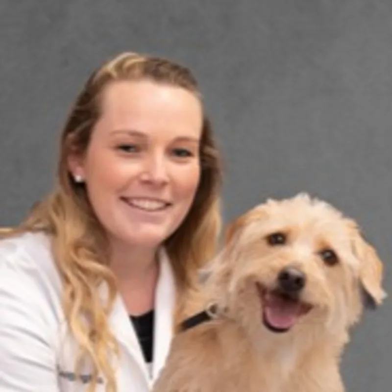 Dr. Caitlin Hughes Dr. Caitlin Hughes