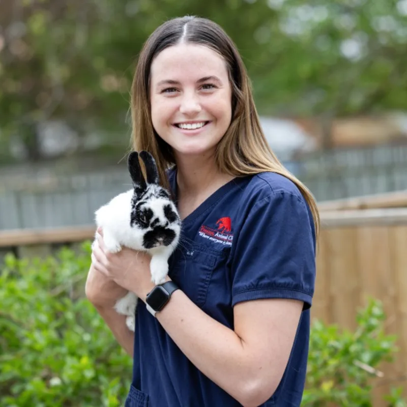 placeholder placeholder