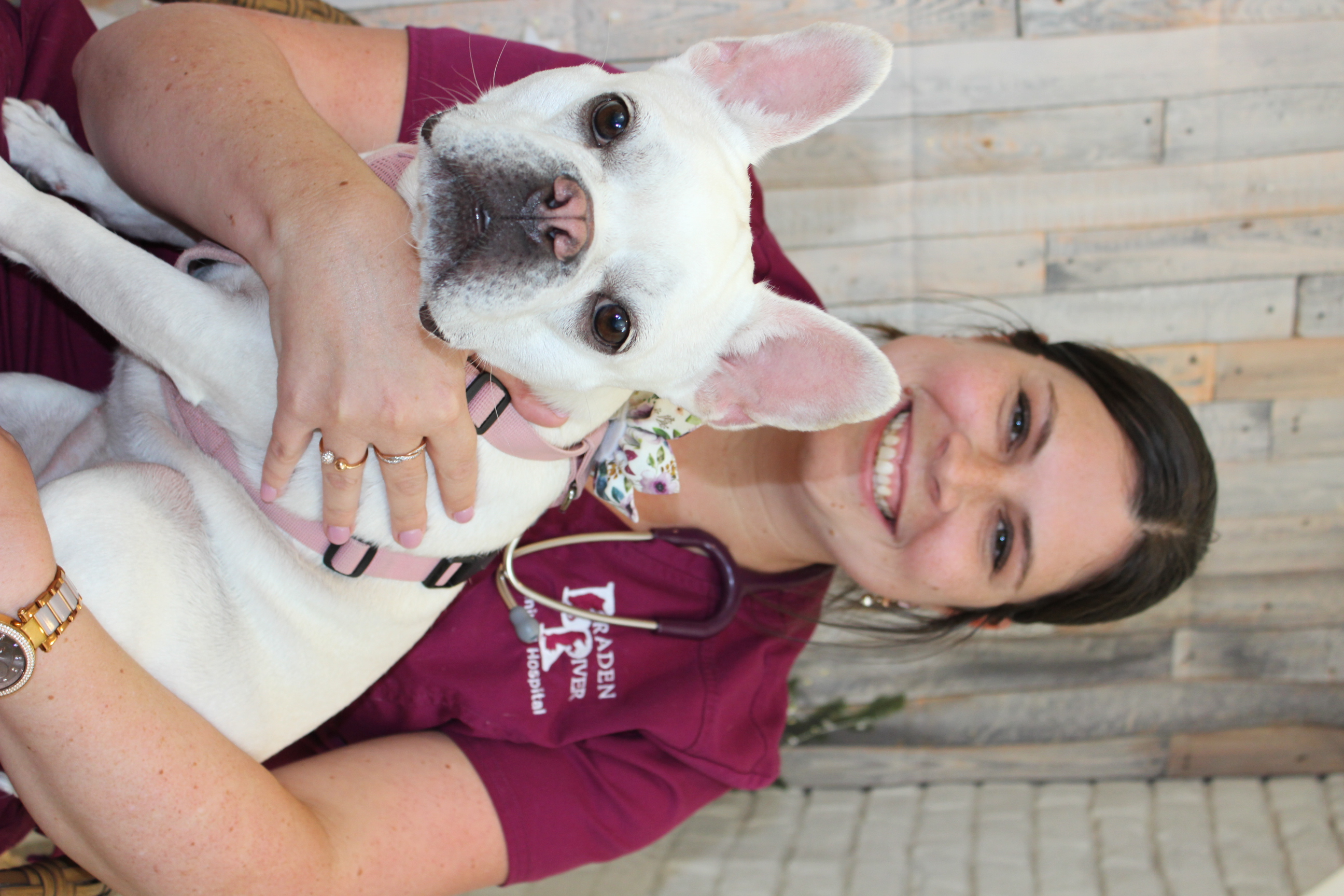 Dr. Kathryn Bailey smiling holding a white Frenchie