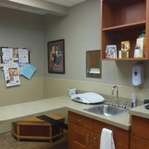 Exam Room at Animal Hospital of Signal Mountain Exam Room at Animal Hospital of Signal Mountain