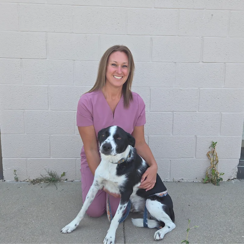 New Staff Member New Staff Member