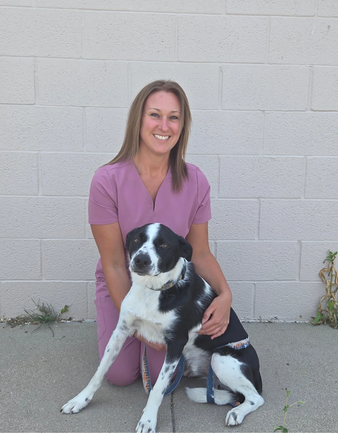New Staff Member New Staff Member