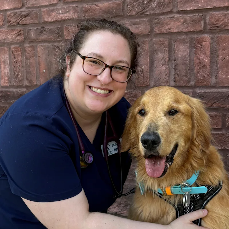 Allison Mallard Allison Mallard