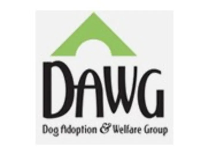 DAWG LOGO DAWG LOGO