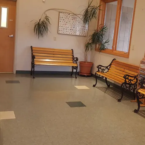 Seating area with plant and wooden benches at College Mall Veterinary Hospital