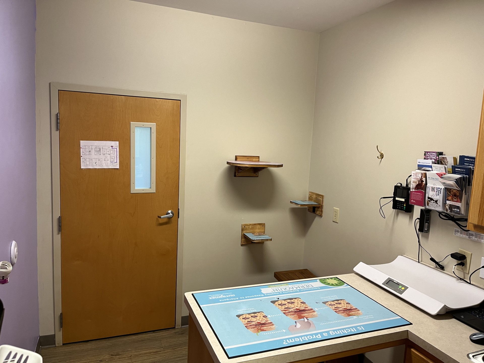 Cat Exam Room at College Mall Veterinary 