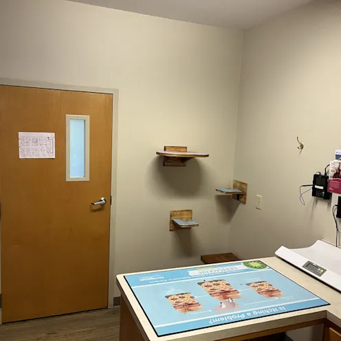 Cat Exam Room at College Mall Veterinary Cat Exam Room at College Mall Veterinary