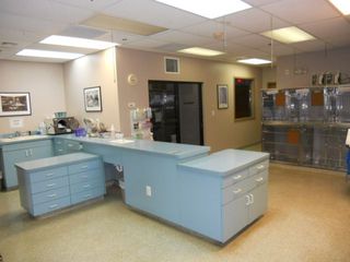 Chastain Animal Clinic Treatments