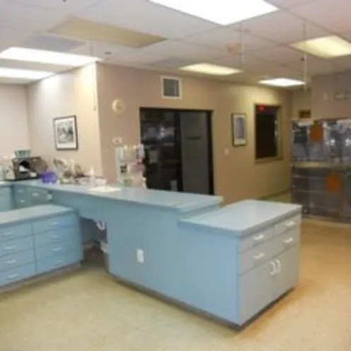 Chastain Animal Clinic Treatments Chastain Animal Clinic Treatments