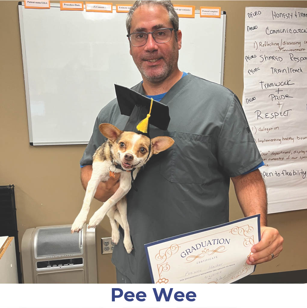 Pee Wee the dog with Neurology Graduate Hall of Fame certificate